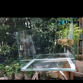 Hồ kính cá cảnh , hồ thuỷ sinh , hồ thuỷ sinh mini , hồ cá 40cm, hồ đẹp