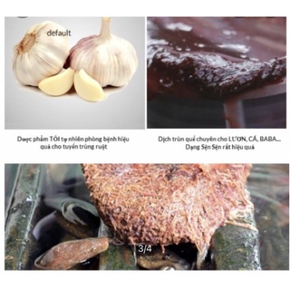 Dịch trùn quế Eel Q cho lươn (Thùng 2 chai 1L)