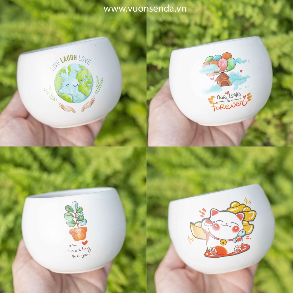 Chậu sứ hạt dẻ mini 8x8cm - In hình