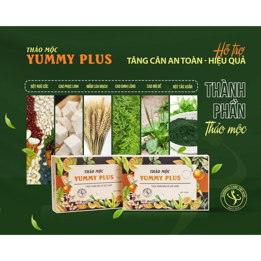 Viên Thảo Mộc Tăng Cân Yummy Plus - An toàn - Hiệu quả