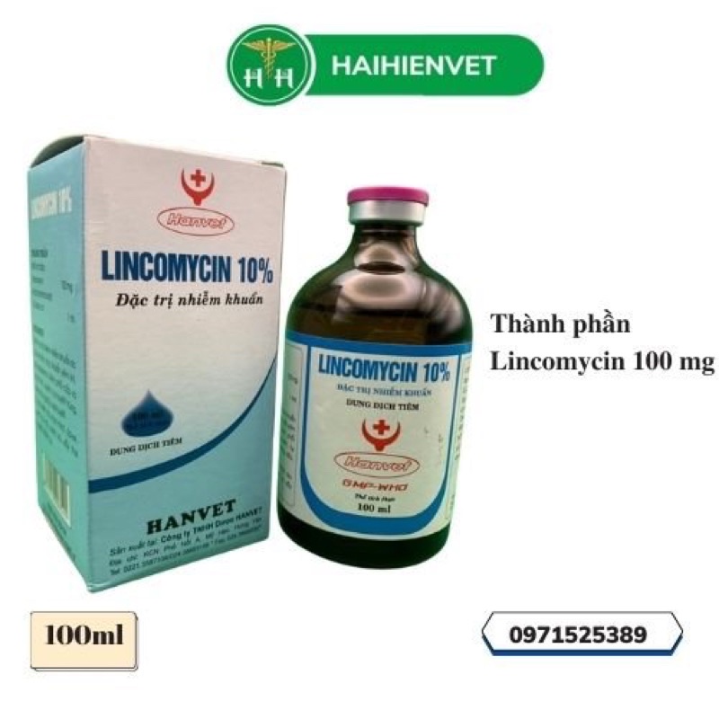 Lincomycin 10% 100ml - chuyên dùng cho gia cầm, chó, mèo, lợn, dê, cừu
