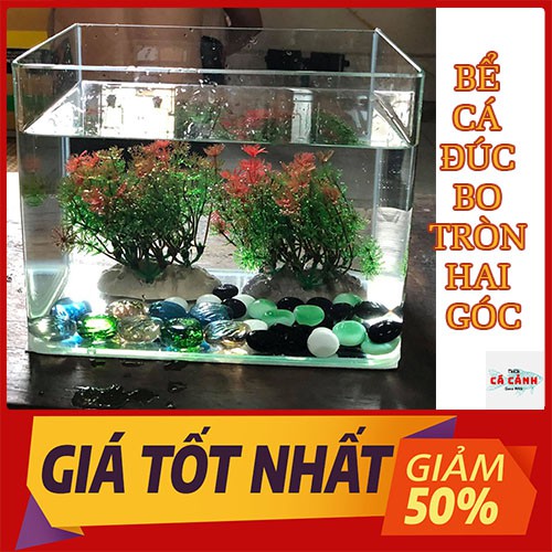 Bể Cá Cảnh Đúc Mini Bể (  26cm x 15cm x 18cm) Bo Tròn Hai Góc Cao Để Bàn Cao Cấp