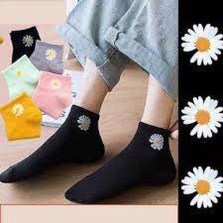 combo 2 đôi tất hoa cúc
