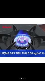 Bếp ga rinnai chính hãng 377G
