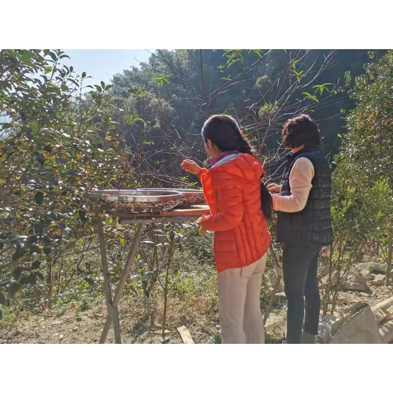 Áo phao siêu nhẹ nữ mặc được 2 mặt hàng QCCC | BigBuy360 - bigbuy360.vn