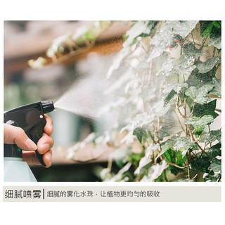 Bình xịt cây mini kiểu dáng độc đáo