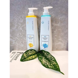 Cặp dầu gội LEO _ HOT nhất trên thị trường,mùi thơm quyến rũ,siêu mềm mượt