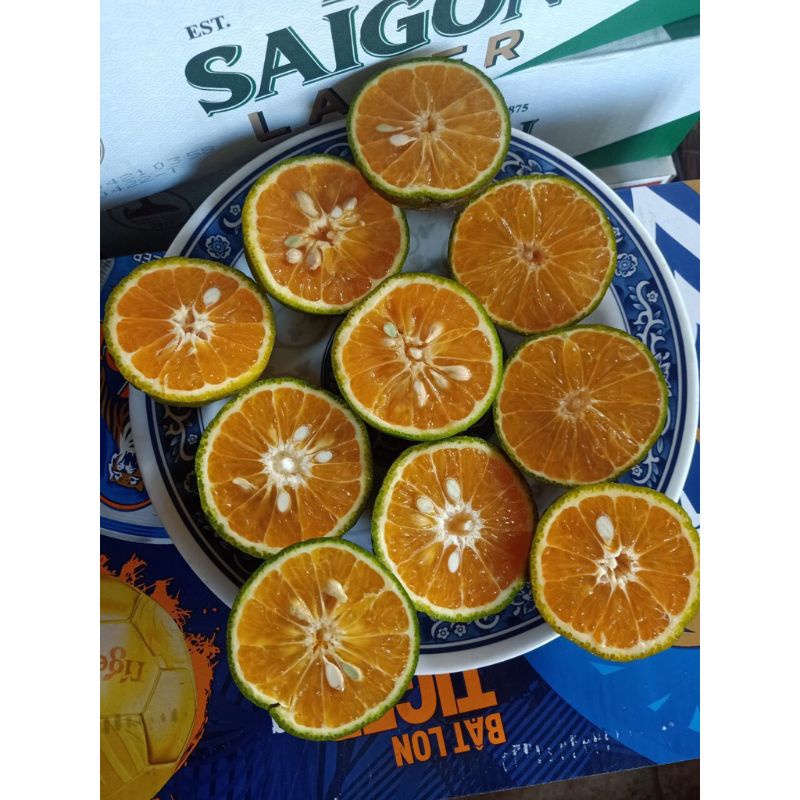 1 kí Cam Sành Cam Tươi Cam Vắt Từ Vựa Giao Nhanh Toàn TPHCM | BigBuy360 - bigbuy360.vn