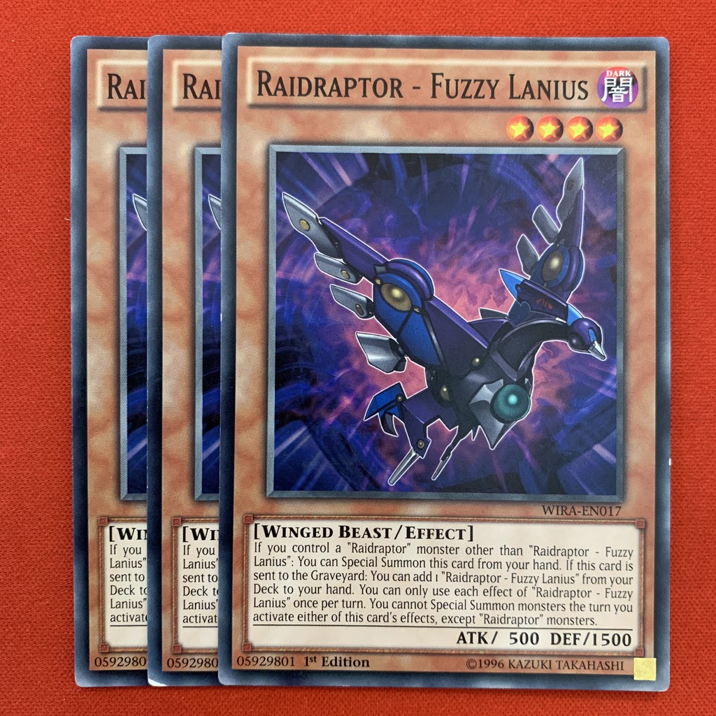 Raidraptor - Fuzzy Lanius