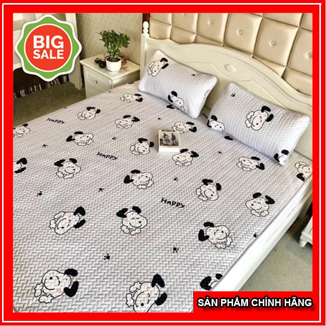 CHIẾU ĐIỀU HOÀ TENCEL, CHIẾU LẠNH HÀN QUỐC CAO CẤP đủ kích thước 1m6,1m8,2m,2m2