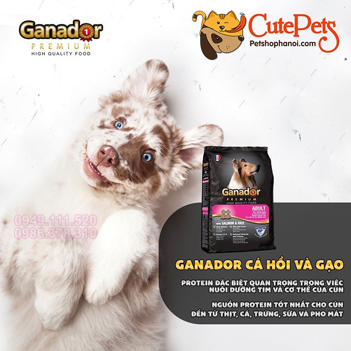 Thức ăn cho chó Ganador 3Kg Hạt cho chó giá rẻ - CutePets