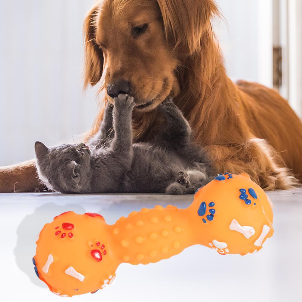 Đồ chơi hình quả tạ nhiều màu cho thú cưng