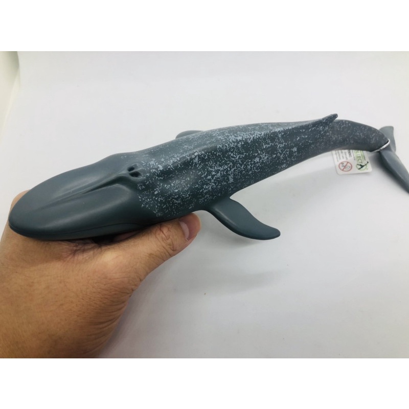 Mô hình động vật , đồ chơi con vật CollectA chính hãng Cá voi xanh 88834 - Schleich House