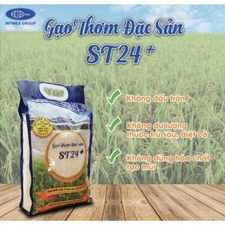Gạo ST24 INTIMEX- Gạo thơm, hạt dẻo.