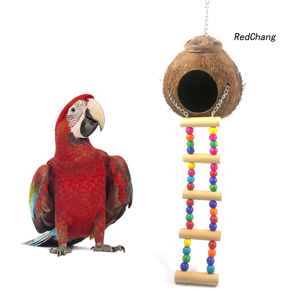 Tổ Chim Bằng Vỏ Dừa Có Thang Leo Tiện Dụng