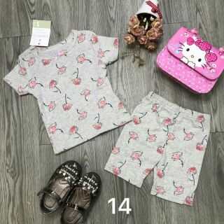 Combo bộ Carter