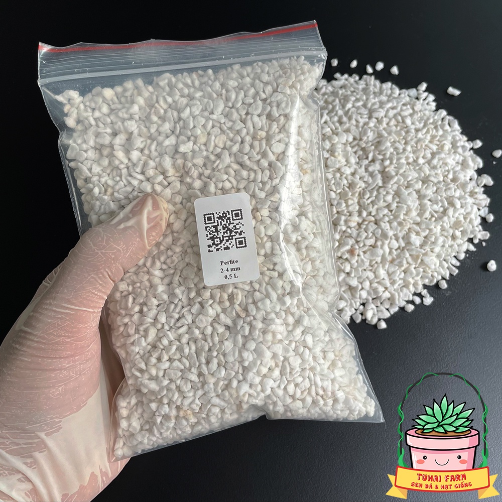 Đá Perlite 3-6mm sạch bụi vụn chuyên dùng trộn giá thể trồng cây sen đá