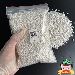ĐÁ PERLITE 1L - ĐÁ KHOÁNG CHUYÊN DỤNG TRỘN GIÁ THỂ TRỒNG SEN ĐÁ, XƯƠNG RỒNG
