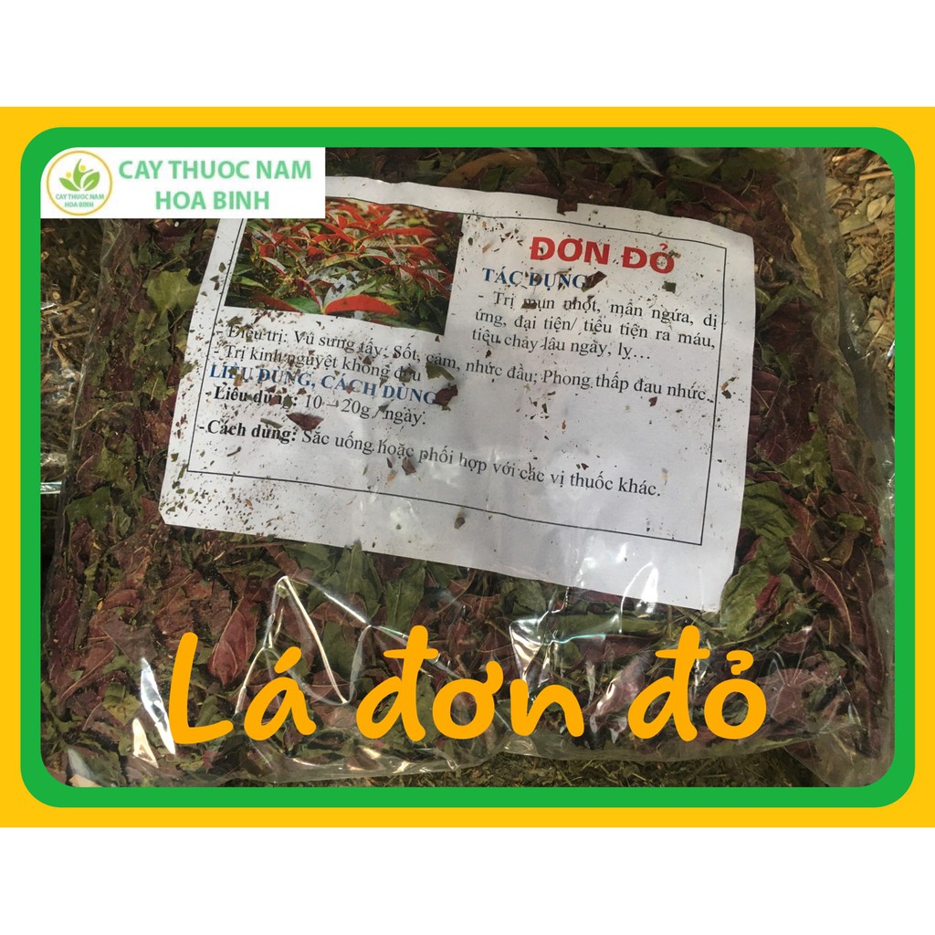 [GIÁ BUÔN] 1kg Lá đơn đỏ trị mẩn ngứa (khô sạch) | BigBuy360 - bigbuy360.vn