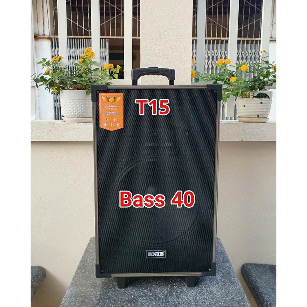 Loa kéo BNIB-T15