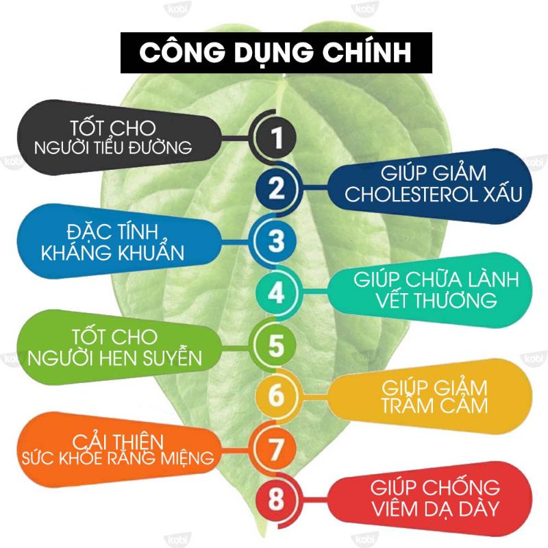 500gr lá trầu không tươi