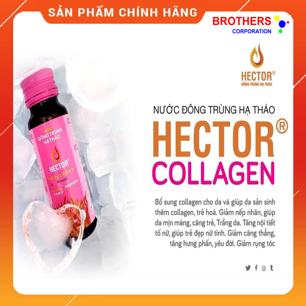 [Chính hãng] Nước Đông Trùng Hạ Thảo Hector Collagen (Hộp 10 chai x 50ml)