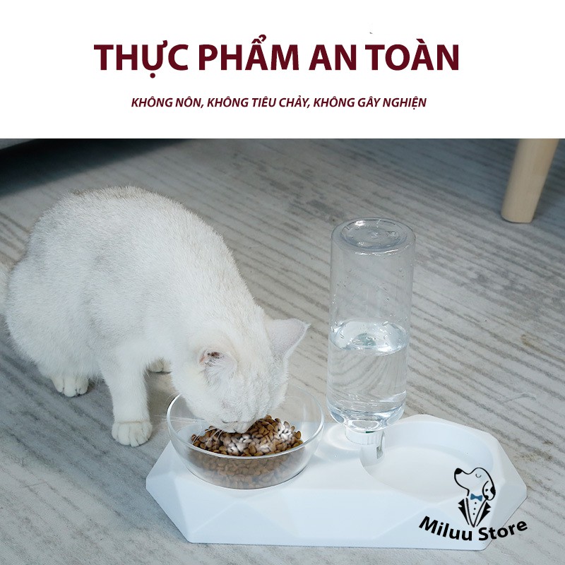 Bột an thần cho mèo, bột kiểm soát cơn động dục của thú cưng