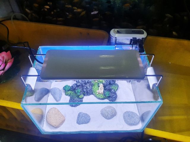 COMBO HỒ CÁ TRANG TRÍ SẴN 1 NÚI 24X15X15CM