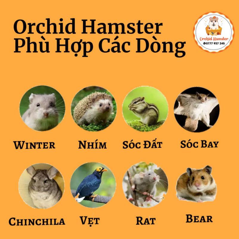 Bánh Vòng Rau Củ Cho Hamster