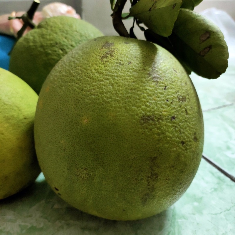 Bưởi da xanh ruột hồng