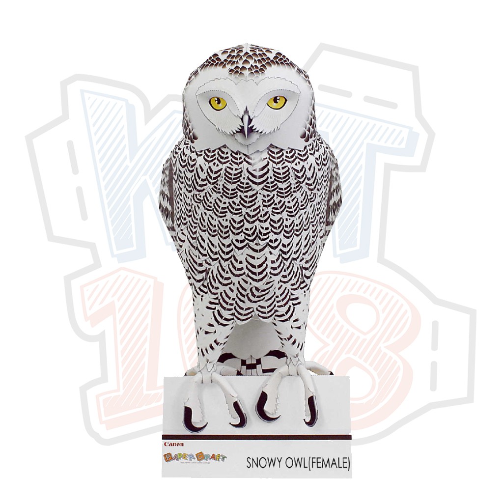 Mô hình giấy động vật Chim Cú Snowy Owl (Cái)