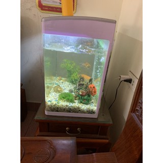 Máy sục bể cá cảnh