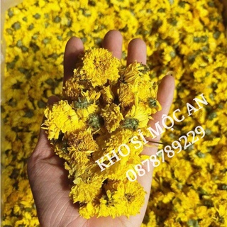 Trà Hoa Cúc Vàng sấy khô Cao Cấp, Bông Cúc Vàng nguyên bông