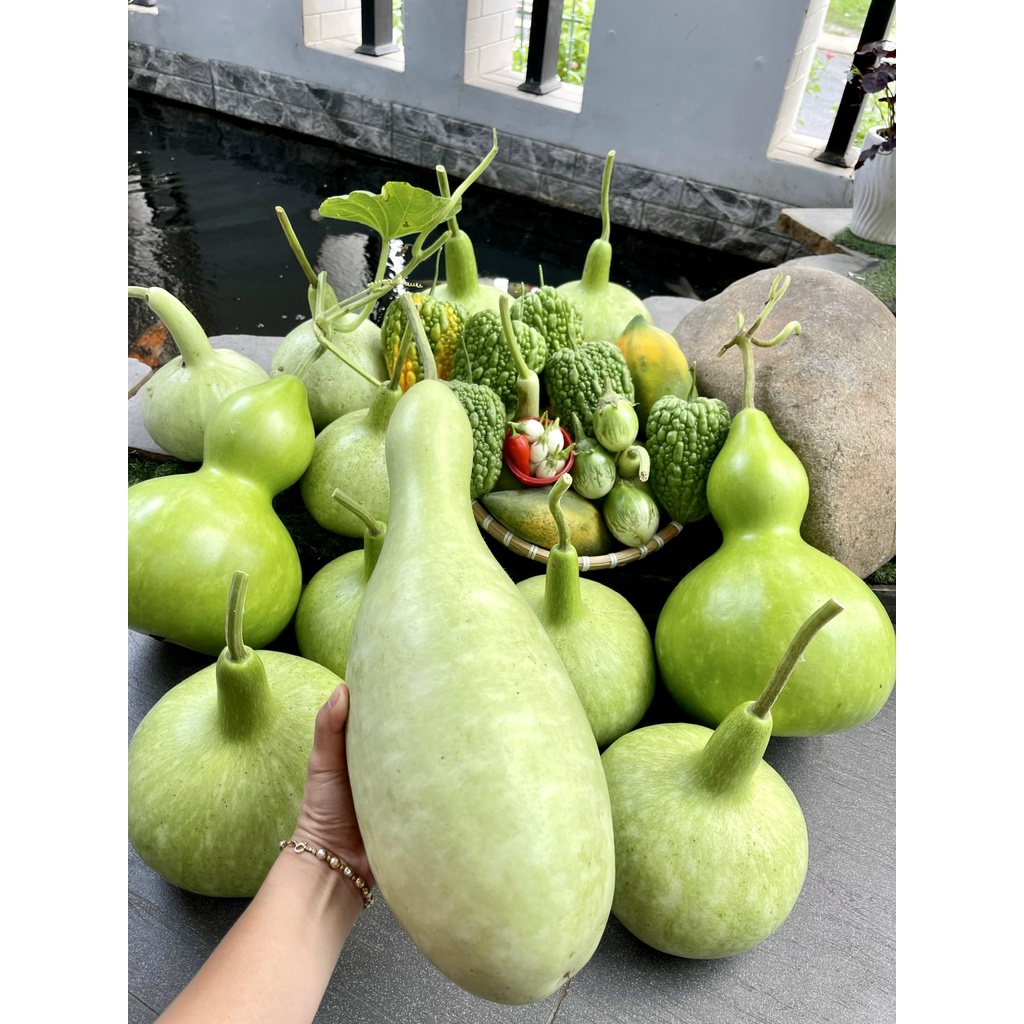 Phân hữu cơ vi sinh trichoderma gói 1kg