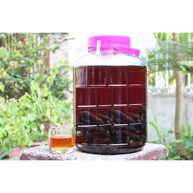 Chuối Hột Rừng Tây Nguyên phơi khô ngâm rượu Loại 1, Quả Chuối Hột Rừng Chín - Nông Sản Vàng 1kg