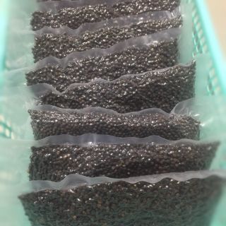 Hạt tiêu chín đỏ. 0.5kg