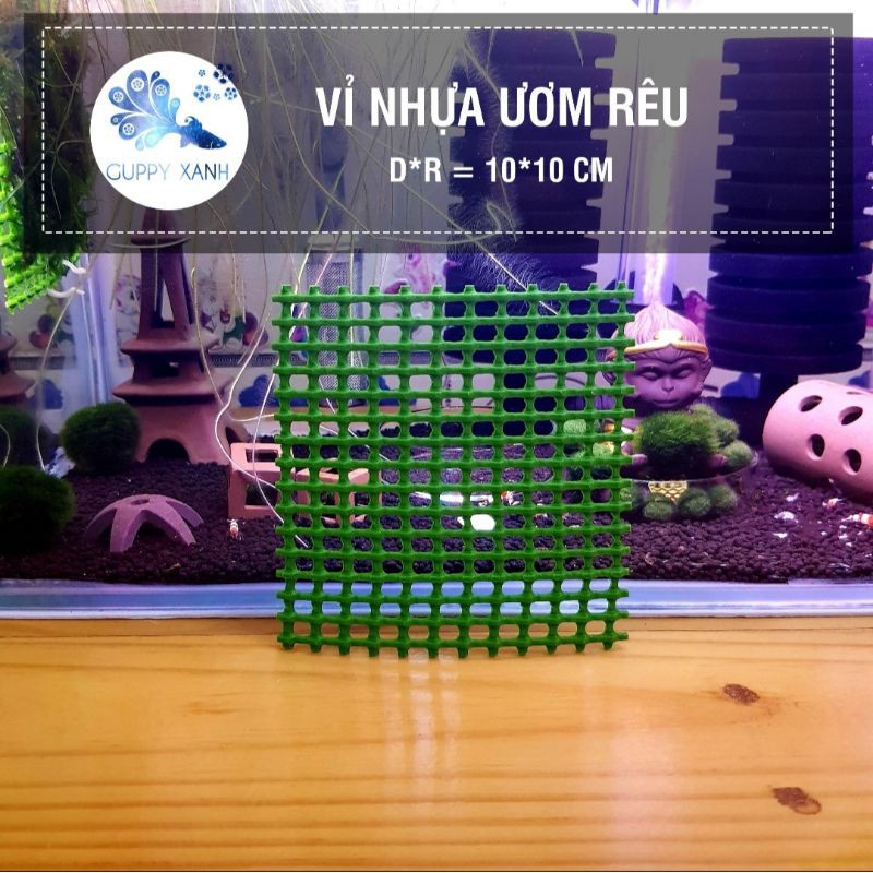 Vĩ Ươm Rêu Bằng Nhựa Cứng Không Rĩ Sét Và Dễ Dàng Vệ Sinh