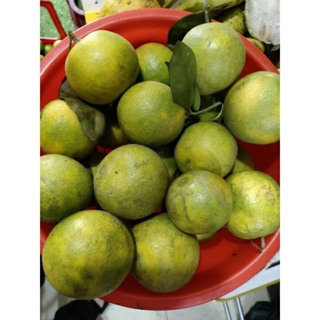 Cam Xoàn tươi nguyên Trái Vườn Nhà Trồng 1kg tại TPHCM