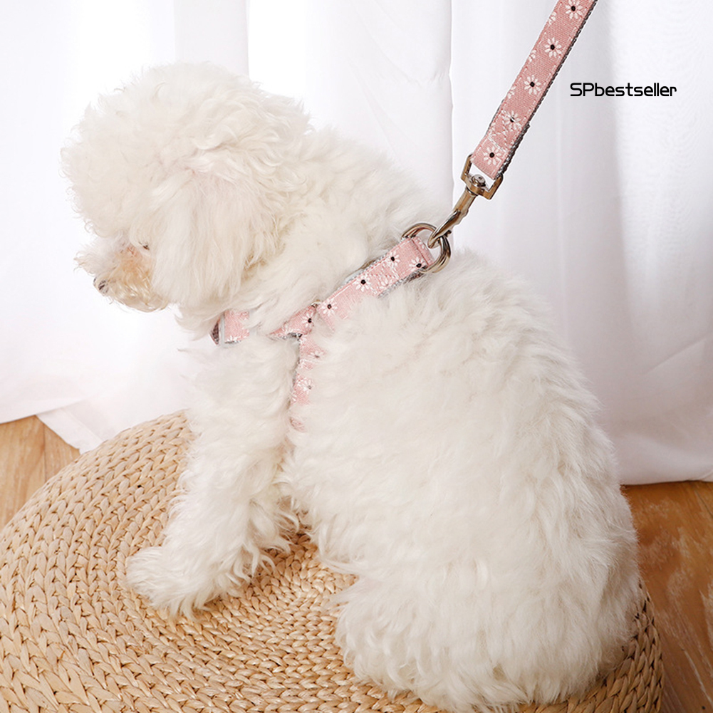 Dây đeo ngực cho thú cưng có dây kéo họa tiết dễ thương tiện lợi