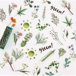 Bộ hình dán sticker Thực Vật Hội Tụ 40 miếng trang trí tranh vẽ, sổ tay, planner