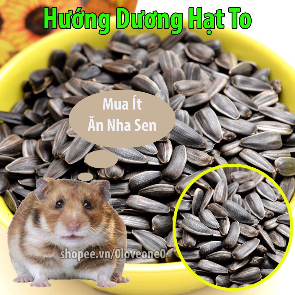 100g Hướng Dương Hạt To Giàu Dinh Dưỡng Cho Hamster-Rat-Đuôi Mập
