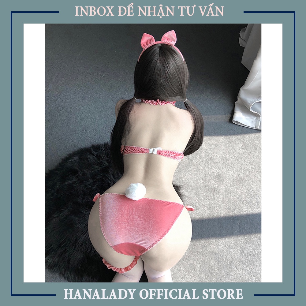 Cosplay thỏ sexy gợi cảm, hóa trang con thỏ đáng yêu C253 | BigBuy360 - bigbuy360.vn