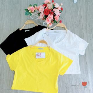 LH35 - Áo Croptop Cổ Tim Form Rộng Basic (Kèm video)