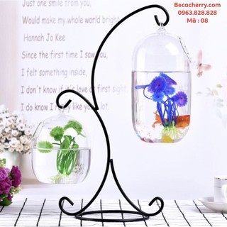 Bể Cá Mini Chữ X - 08 ( Tặng Kèm Phụ Kiện Trang Trí )