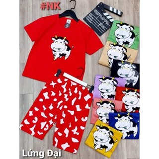 Bộ đùi lửng bò sữa
