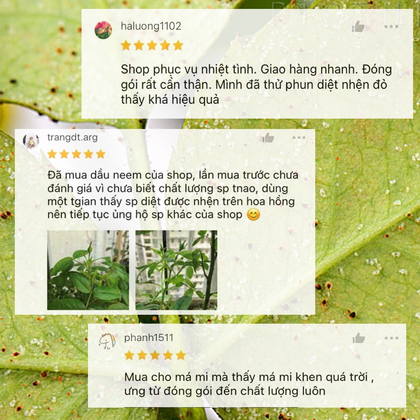 Dầu neem oil DOCNEEM hữu cơ phòng trị sâu bệnh hoa hồng, phong lan, cây cảnh, nguyên chất ép lạnh 50ml