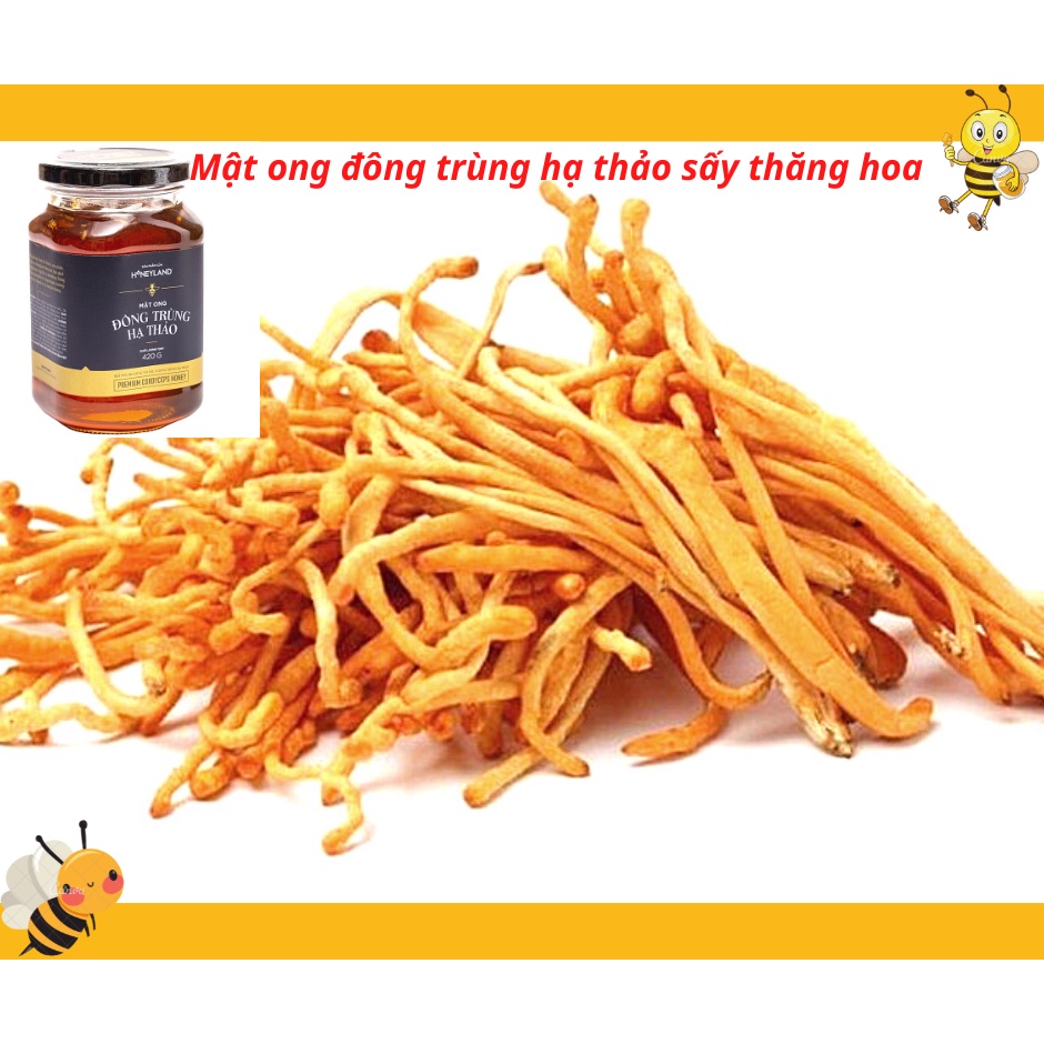 Mật ong Đông Trùng Hạ Thảo HONEYLAND 420g mật ong thiên nhiên nguyên chất
