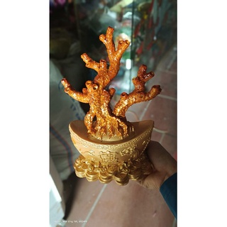 Combo nguyên liệu hoa kim tiền gốc thỏi vàng 20 nhánh