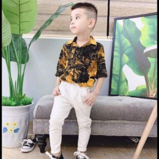 Sơ mi lụa 3d