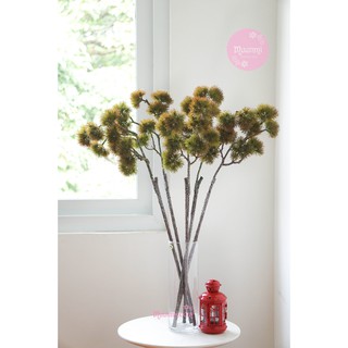 Cành Lá 🌿 | Cành Tùng cổ cho không gian đẹp tĩnh tại